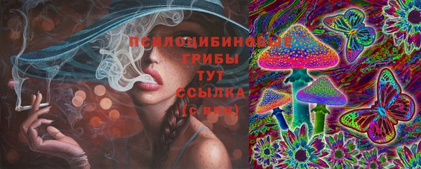 не бодяженный Дмитриев
