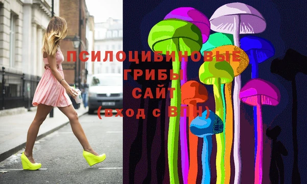 спайс Ельня