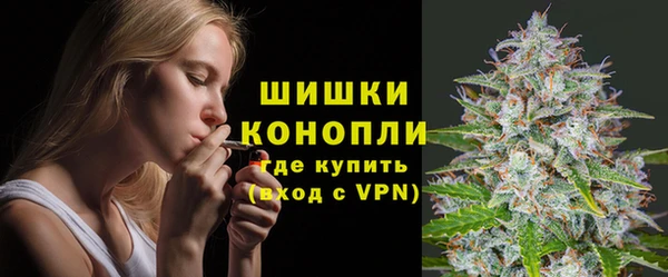 не бодяженный Дмитриев