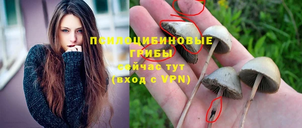 не бодяженный Дмитриев