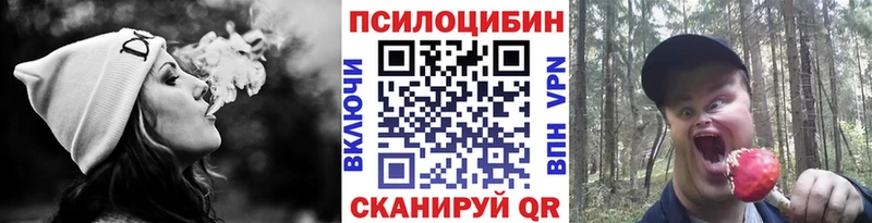 Купить закладки  Горняк  Галлюциногенные грибы GOLDEN TEACHER 